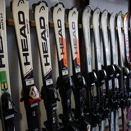 Alpenhof Pansion Slavske