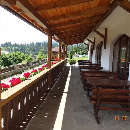 Alpenhof Pansion Hotell 3*