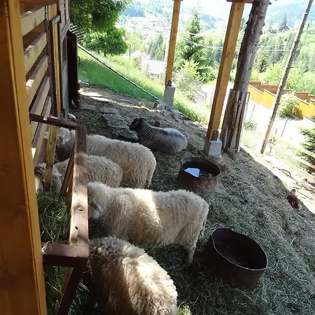 Alpenhof Pansion 3*