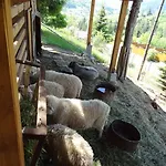 альпийский двор 3*