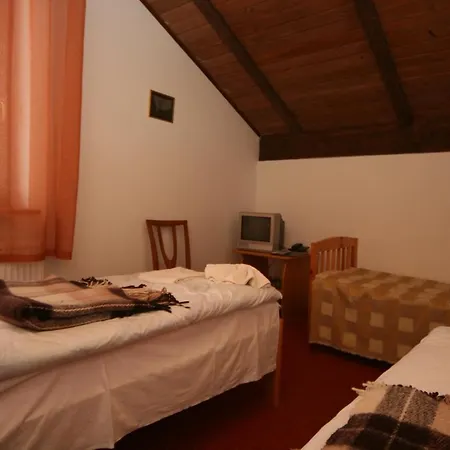 Alpenhof Pansion מלון 3*