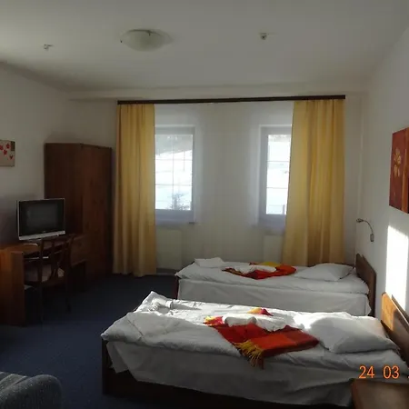Alpenhof Pansion מלון 3*