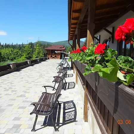 Alpenhof Pansion מלון