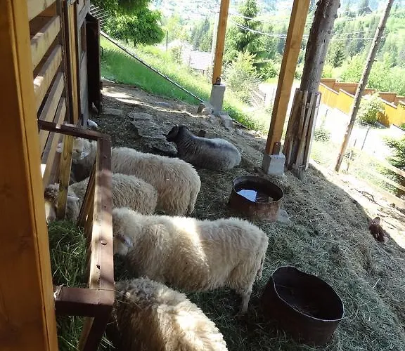 Alpenhof Pansion 3*